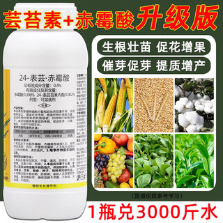 Gibberellic acid brassin plant growth regulator yuntaisu lactone fruit tree and vegetable foliar fertilizer rooting agent to promote flowering 1000ml