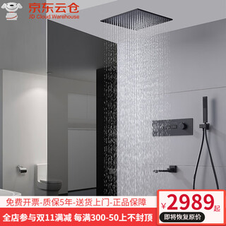 Hansgrohe minimalist concealed embedded wall-mounted constant temperature all-copper canopy double waterfall shower pressurized large top spray ceiling black black ceiling type with drain