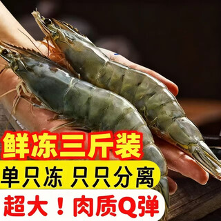 Jiang qigong fresh sea-caught extra large white shrimp ecuadorian white shrimp frozen seafood fresh with ice three jin jin is equal to 0.5 kg packed three jin jin is equal to 0.5 kg packed large white shrimp 12-16 cm