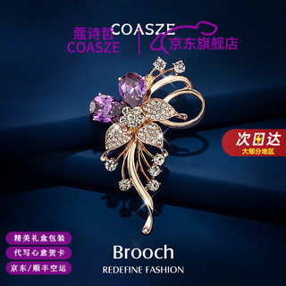 Coasze suit corsage brooch for women 2025 new high-end exquisite fashion women's clothing pin accessories birthday gift for mother hua ran