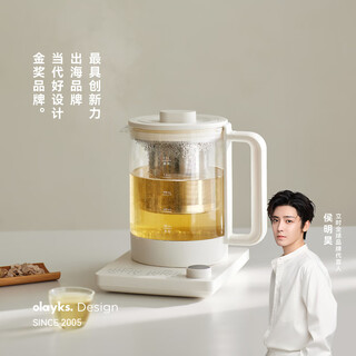Olayks lishi qingchuan health pot small office 2025 new kettle boiling kettle teapot large filter tea boiler stew all in one olk-ysh03