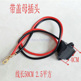 丽田电动三轮车充电插座弯头公插座充电口母插头充电器防水带盖子 盖充电母插头红黑线长50CM