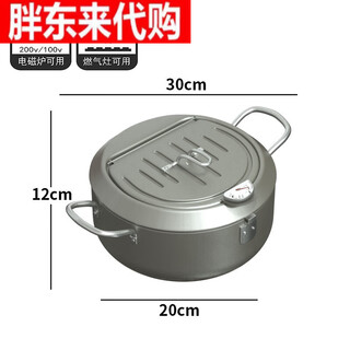 Japanese tempura fryer household small mini deep temperature control gas gas fuel-efficient japanese small fat donglai moonlight silver--flip cover 20cm