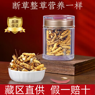 【假一赔十】正宗藏区高海拔冬虫夏草 大号断草自吃实惠50克 【正宗藏区高海拔】10克装大号断草