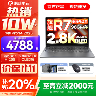 联想小新14/小新Pro14 2025补贴可选 高性能超轻薄笔记本电脑 标压锐龙版 学生游戏设计办公本 新锐龙7 32G 1TB 升级｜Pro14 防眩光护眼屏｜DC调光无闪烁
