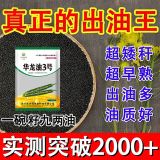 Высокоурожайный гибрид рапса крупнозернистый рапс Академия сельскохозяйственных наук специальные семена для отжима масла короткостебель устойчивость к полеганию и морозостойкость 100г около 22000 семян + высокоурожайная технология