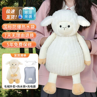 Lingge grid hot water bottle rechargeable explosion-proof lamb warm water bottle to warm baby hand-held electric heater hot treasure quilt special plush toy hot water bottle sitting sheep-warm