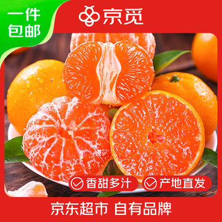 京觅浙江涌泉蜜桔 净重4.5斤 单果50mm+无籽蜜橘新鲜采摘源头直发包邮