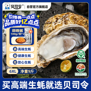 Bassling fresh rushan ecological oysters 6xl net weight 9jin jin is equal to 0.5kg 12-16 pieces straight from the source