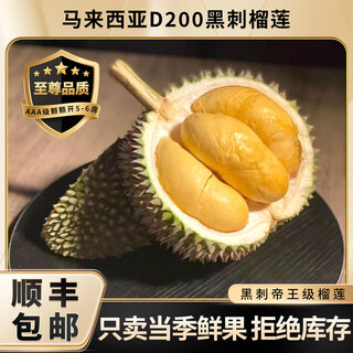 鑫果滋【顺丰冷链】黑刺榴莲D200马来西亚冷冻榴莲进口液氮水果自然树熟 2.5-3.0斤【AA级当季新果 保4房】