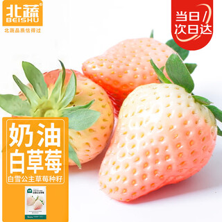 Beishu strawberry seeds cream white strawberry balcony potted fruit seeds snow white strawberry seeds 500 capsules
