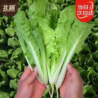 Beishu pakchoi seeds four seasons fast-growing family balcony vegetable seeds four seasons cream pakchoi seeds 20g