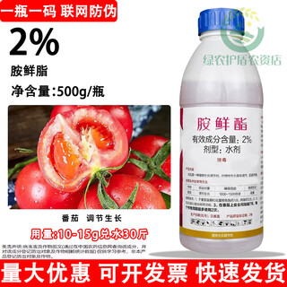 Jianpai jianwufeng 2% amine fresh ester fat-water agent tomato tomato growth regulator plant growth regulator 500g*1 bottle