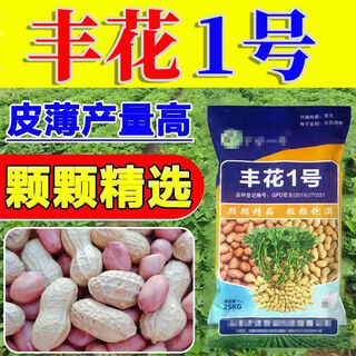 Peanut seeds super high yield and high yield no. 1 academy of agricultural sciences early maturing disease-resistant and drought-resistant original seed thin shell large grain dwarf stalk fenghua no. 1 original thin shell large grain good taste 3jin jin equal to 0.5 kg + planting guidance
