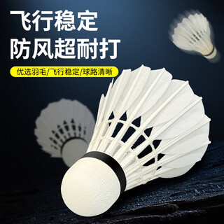 及冠标准正品超耐打天然羽毛球不易烂防风耐用室内外娱乐比赛训练用球 经久耐用（入门款）3支装A03 1筒