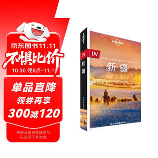 IN新疆-LP孤独星球Lonely Planet旅行指南  