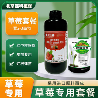 Xinke plant protection strawberry planting red middle pillar special package repeated planting withered yellow vine 1000ml anthrax black bottle 24 10 bottles (free 2 bottles)