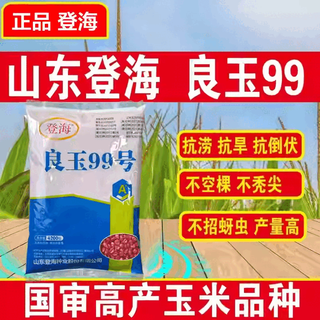 Wangyuanxing high-yielding feed corn seeds, high-yield zhengdan 958 zhengdan hybrid seeds, extra large southern genuine improved varieties, denghai liangyu 99 corn 4200 grains (scarce variety grab grab grab 0