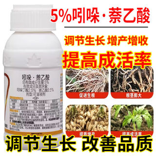 5% indole naphthalene acetic acid poplar grape sapling flower rooting transplanting cutting rooting rapid conditioner 500g