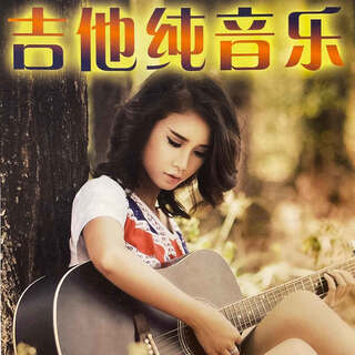 Guitar pure music u disk solo accompaniment radio speaker car folk beautiful guitar mp3 memory card audio high-speed u disk guitar (song) 800 songs