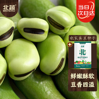 Northern vegetable broad bean seed seedlings, early-maturing local broad bean seeds, suitable for cold-resistant rapeseed in the north and south, farmer's broad bean seeds 500g