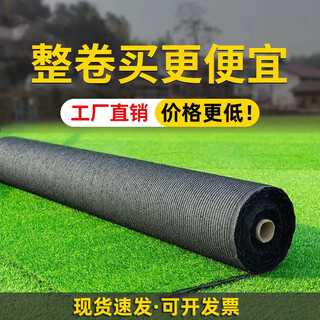 Lezijun simulated grass artificial turf mat carpet plastic decorative turf outdoor engineering enclosure indoor 2 spring black label 1*1