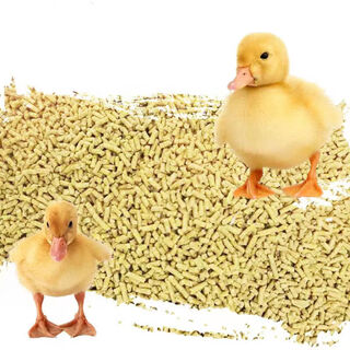Ouoety small duck feed for ducks, special pet bird, small yellow duck, goose and chick, food feed for ducklings, medium and large duck feed 2jin jin is equal to 0.5kg (coarse particles)