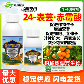 Xinruifengtianguole 24 epibrassinolide gibberellic acid citrus fruit tree growth promotion and fruit drop regulator 500ml