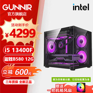 Lanji 12600kf/14600kf/12400f 5060 a750 b570 b580 12g graphics card game e-sports computer host sea view room desktop assembly diy complete machine configuration five i5 13400f + lanji b580i d4