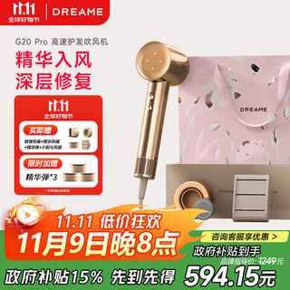 Chasing shaoguang g20pro high-speed hair dryer household high-power negative ion hair dryer essence elastic hair care moisturizing hair dryer selection essence hair care g20pro champagne gold
