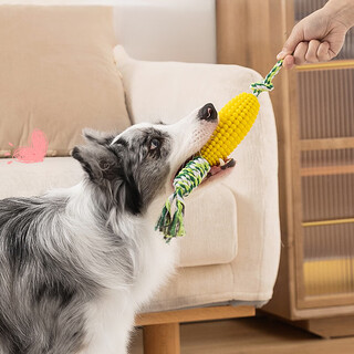 Cute star pet dog toy, teeth grinding corn cob, tooth cleaning, oral cleaning, pet supplies for large, medium and small dogs and puppies