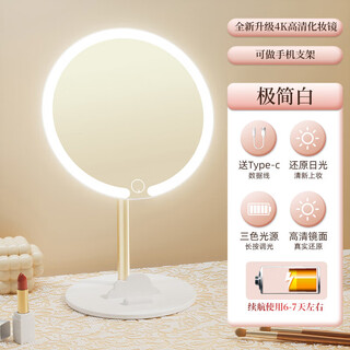 2025 new led mirror cosmetic mirror desktop desktop with light student home fill-light mirror with makeup storage tube 2024 new upgrade minimalist white