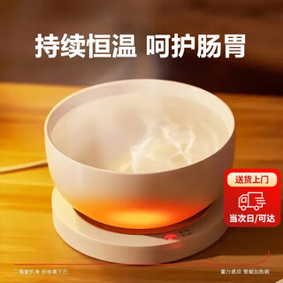 酸奶机猫咪饮水机恒温水碗可加热宠物加热猫碗盆狗狗喝水器陶瓷碗 【恒温加热垫+白陶瓷碗】-350ML 黑色加厚【35-45℃恒温】 水电分离易清洗-恒温加热护肠胃