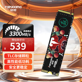 梵想（FANXIANG）1TB SSD固态硬盘 M.2接口NVMe协议 精选TLC颗粒 一体机台式机笔记本电脑AI PC存储配件 S500Pro