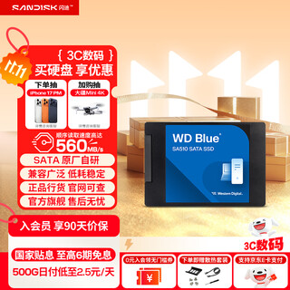 西部数据（WD）笔记本台式机电脑 SSD固态硬盘 SA510 SATA M.2 Blue系列 3D技术 高速读写 WD Blue SATA | 性能款 高容量 1TB