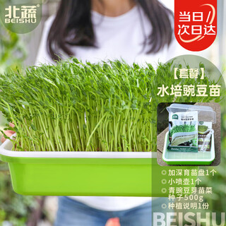 Beishu hydroponic vegetables pea seeds sprouts nursery tray planting box set deep tray hydroponic pea seedlings package