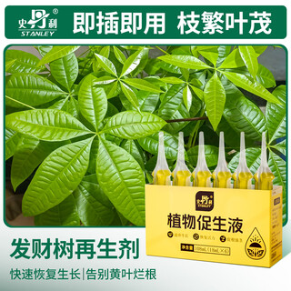 Stanley money tree special fertilizer plant nutrient solution yellow leaf rotten root regeneration potting agent organic compound flower fertilizer stanley plant growth promoting liquid 6 pieces/box