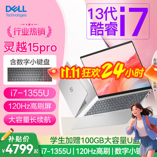 Dell (dell) inspiron 15pro i7 laptop thin and light notebook 13th generation core inspiron 15 3530 high-performance ultra-thin notebook business office notebook gaming notebook for college students silent silver | 15pro thin and light notebook 15.6 inches recommended i7 | 32g |