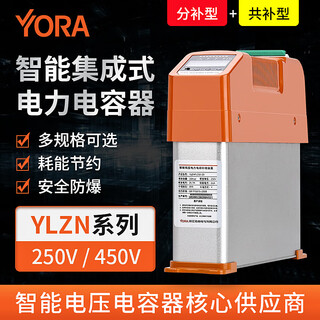 Ylzns/450-20+20 intelligent integrated power capacitor three-phase common compensation reactive power compensation ylznf/250v-10