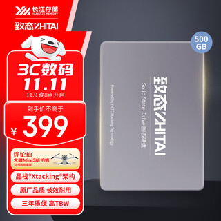 致态（ZhiTai）长江存储 500GB SSD固态硬盘 SATA 3.0 接口 SC001 XT系列