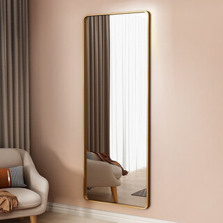 安尔雅 穿衣镜子贴墙直播非落地壁挂全身镜卧室宿舍试衣镜50*150