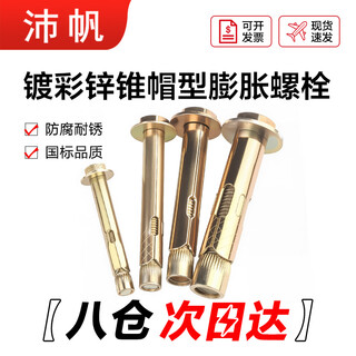 Peifan cone cap type expansion bolt external hexagonal internal expansion screw carbon steel color zinc plated m8*100 (pack of 30)