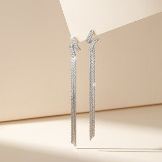 Yalundi tassel earrings women's earrings unique and beautiful earrings 2025 new hot style high-level feeling light luxurious temperament grand earrings