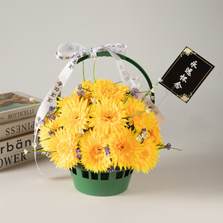 Jingga grave-sweeping fake flowers, qingming flowers, simulated flowers, tombstones, chrysanthemum baskets, grave-going sacrificial supplies, 18-head flat chrysanthemum combination, 18-head flat chrysanthemum hand bouquet + flower basket yellow