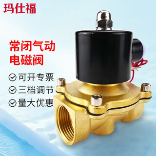 Masifo normally closed pneumatic solenoid valve copper core water valve 2w switch valve air valve 220v (4 minutes) 160-15