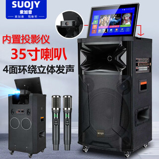 Suojiayin 25 new 35-inch horn subwoofer outdoor projection square dance karaoke audio with display screen high-power home smart mobile ktv karaoke all-in-one machine karaoke speaker 35-inch horn deluxe version + 1000g storage + 3 microphones