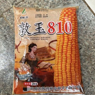 Dunyu 810 yunnan province's high-quality grain depth - high-altitude resistance, first-class quality and good live stems mature 2kg packaging dunyu 810 yunnan province's high-quality grain depth - high-altitude resistance and good quality live stems