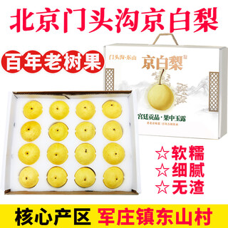 北京门头沟京白白梨 军庄镇东山京西贡梨 新鲜水果送礼品 5斤大果礼盒