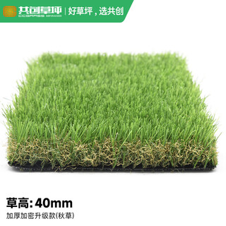 Co-create lawn artificial turf courtyard kindergarten golf simulated turf garden gym school rooftop fake lawn villa 40mm thickened encrypted upgrade (autumn grass)