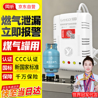 岡祈（Gangqi）煤气罐液化石油气燃气报警器 家用厨房煤气泄漏探测液化气报警器 